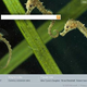 Image for article titled Confirmed: Microsoft's New Search Engine Is Called 'Bing', Opens June 3rd